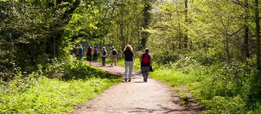 Walks in the park